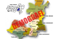 pengertian demografi