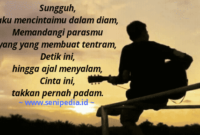 puisi-cinta-dalam-diam Puisi cinta dalam diam