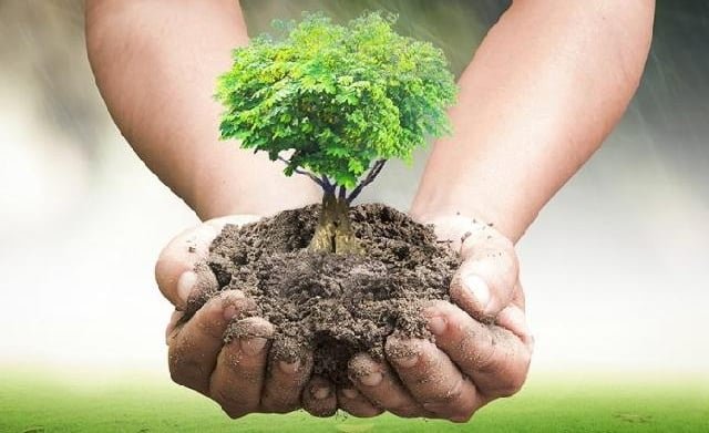 Puisi tentang keindahan alam