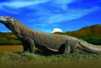 puisi-tentang-komodo Puisi Tentang Komodo