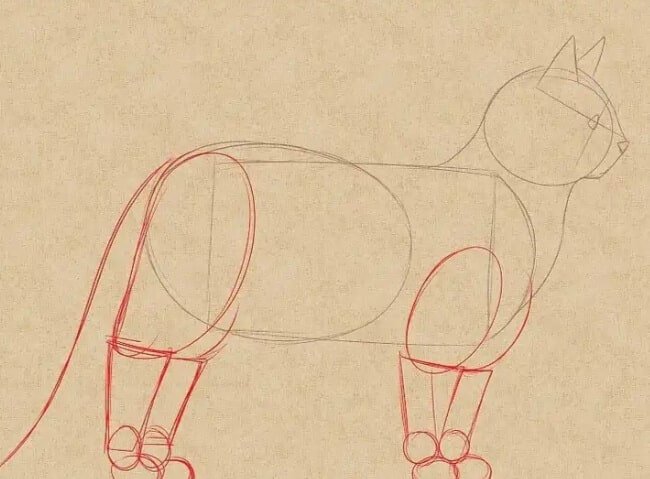 Sketsa gambar kucing