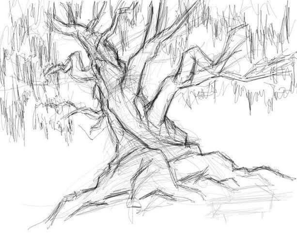 Cara menggambar pohon